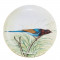 Hand Painted Wall Plaques – Red Billed Blue Magpie - Noritake 