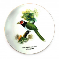 Hand Painted Wall Plaques – Red Faced Malkoha - Noritake 