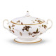 Islay Gold - 4885 -95 Pc's Dinner Set Noritake