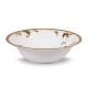 Islay Gold - 4885 -95 Pc's Dinner Set Noritake